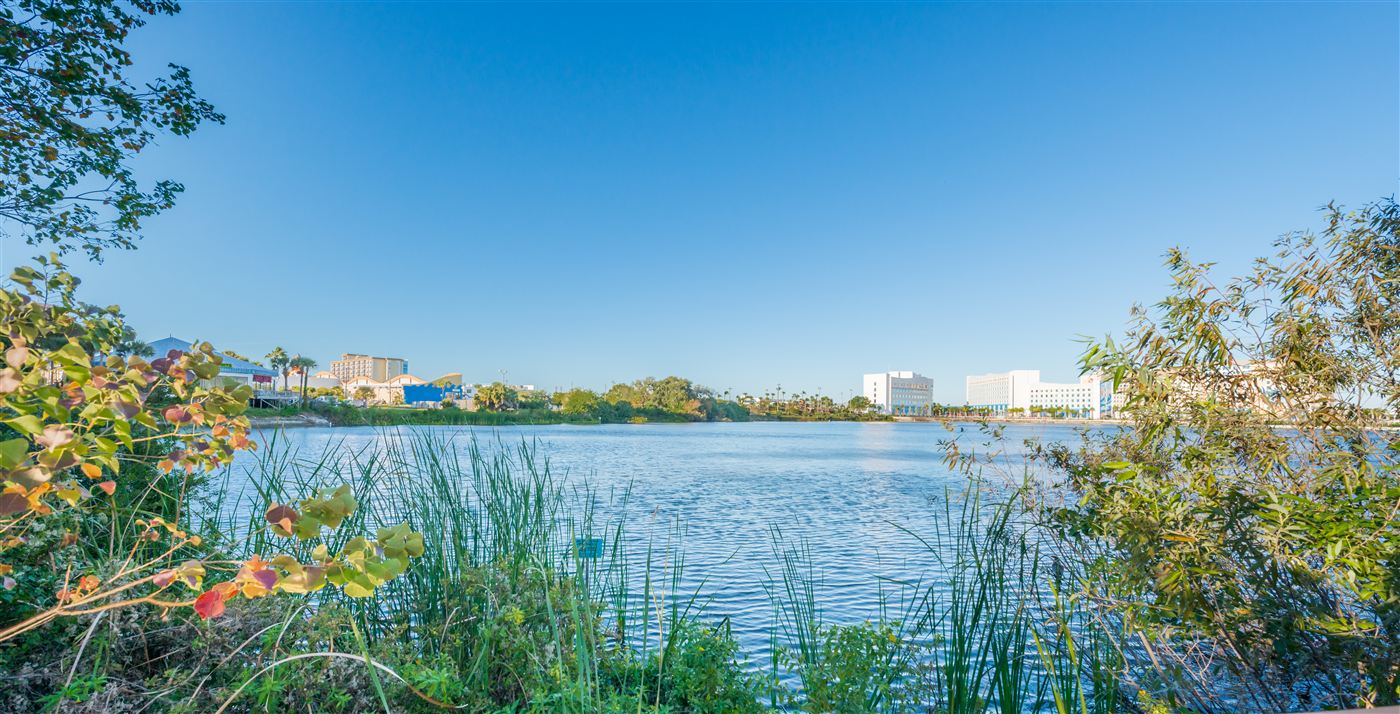 Lake view at The Enclave, Orlando