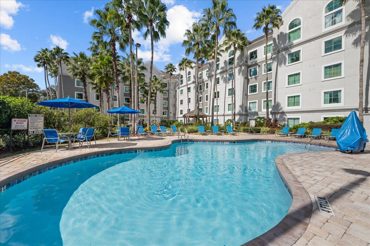 Pool surrounded by palm trees at Hawthorn Suites