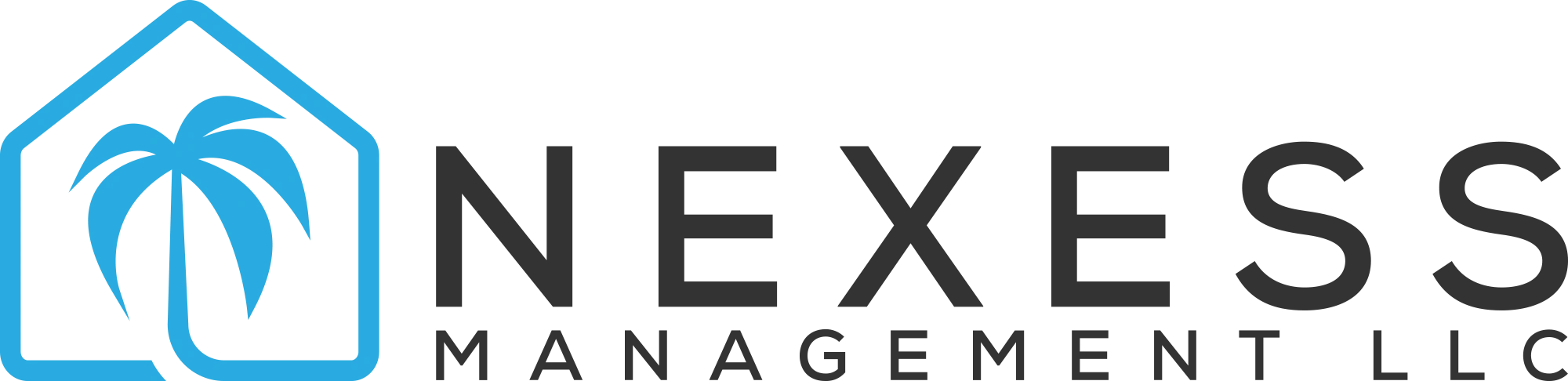 NEXESS Management LLC